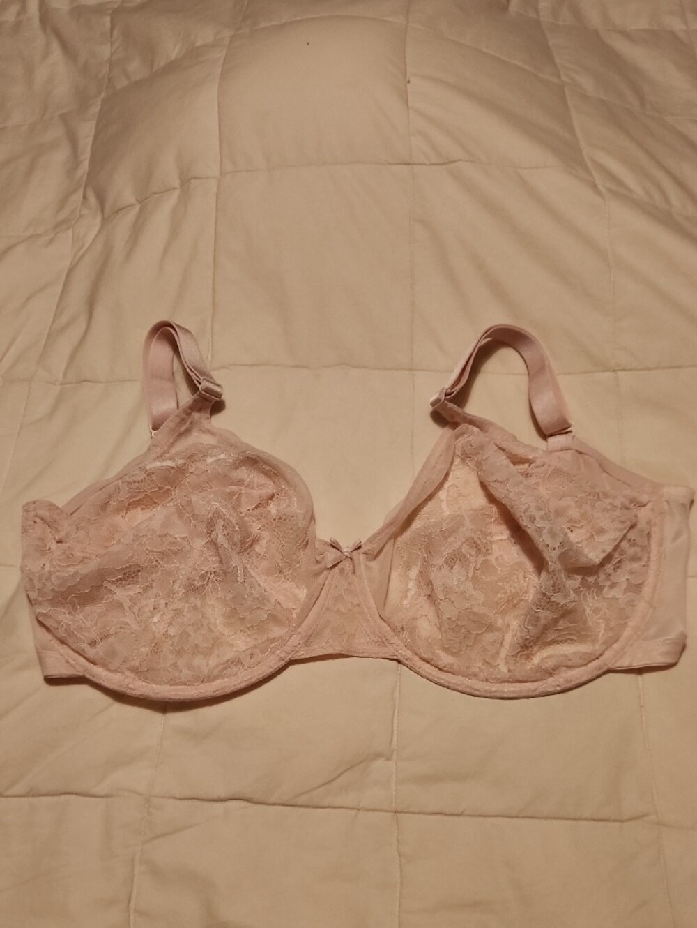 HSIA Nude Blush Full Coverage Bra - 36H